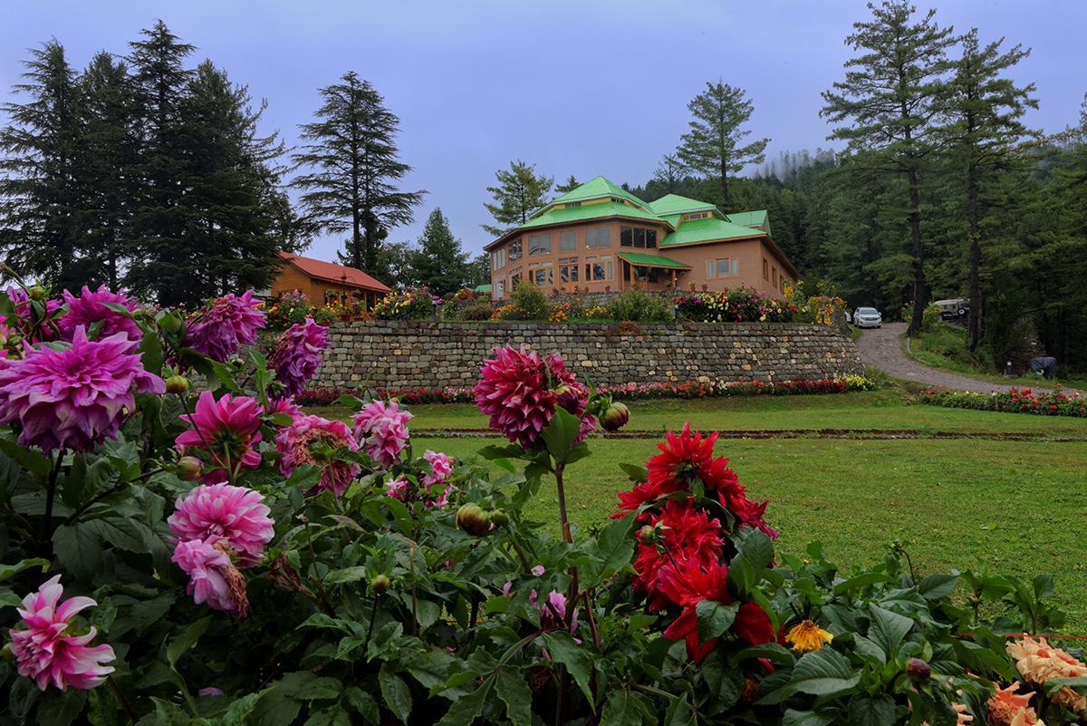 Hotel Arcadian Sprucewoods Shogran Zewnętrze zdjęcie